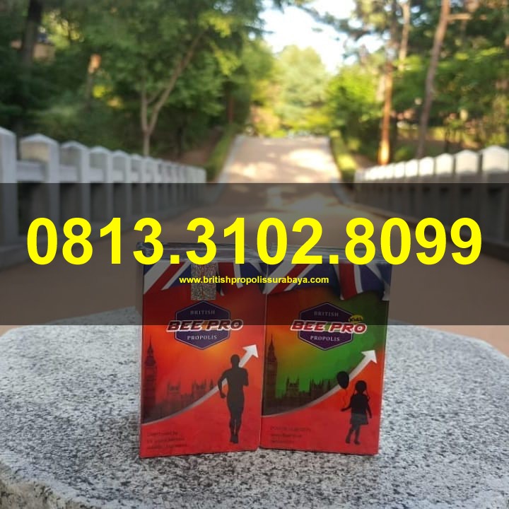 distributor british propolis surabaya,distributor bee pro surabaya,distributor british propolis sidoarjo
